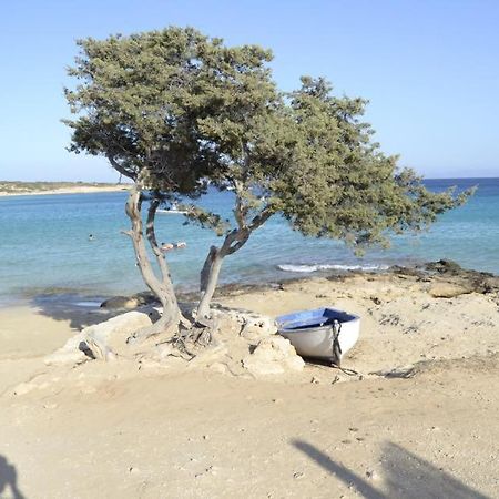 Fanos Studios Koufonisia Extérieur photo